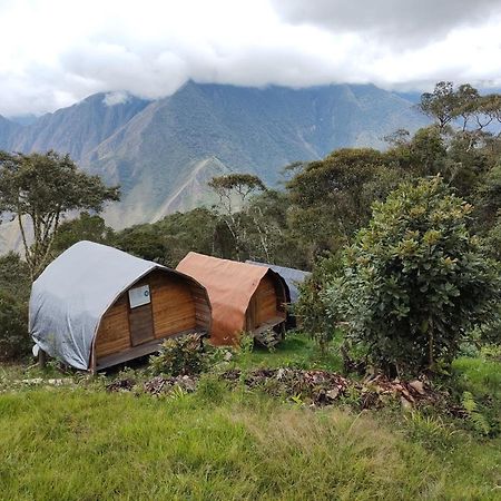 Machupicchu Ecolodge Cuzco Eksteriør bilde
